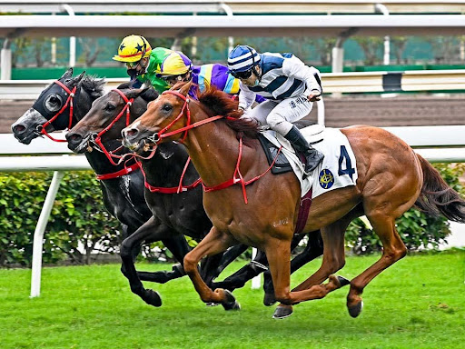 From Colonial Era to Modern Day: The Story of Hong Kong Horse Racing